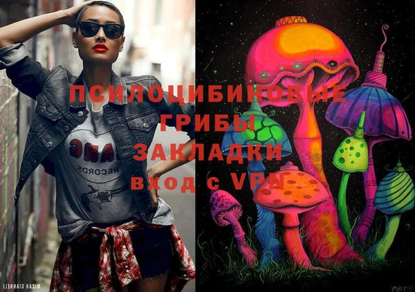 кокс Алексин