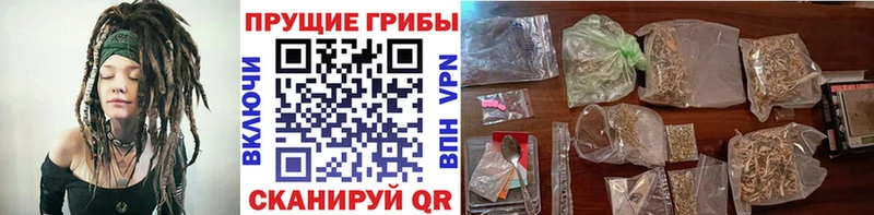 где купить наркоту  mega ссылки  Псилоцибиновые грибы мухоморы  Сорск 